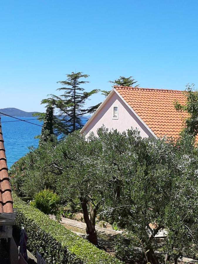 זאדאר Apartments Basioli מראה חיצוני תמונה